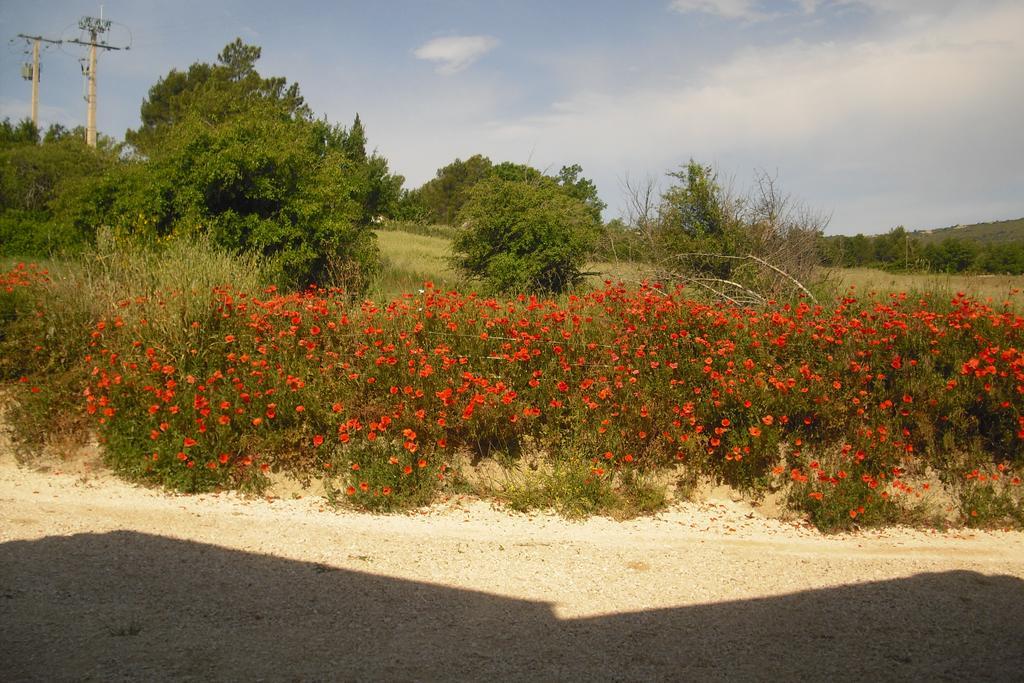 Lou Mas Li Pitchoun "La Bergerie" Appartement Gordes Buitenkant foto